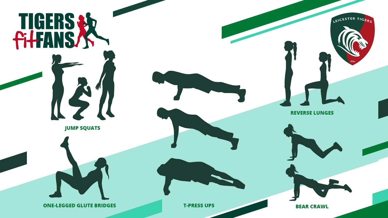 FitFans exercises