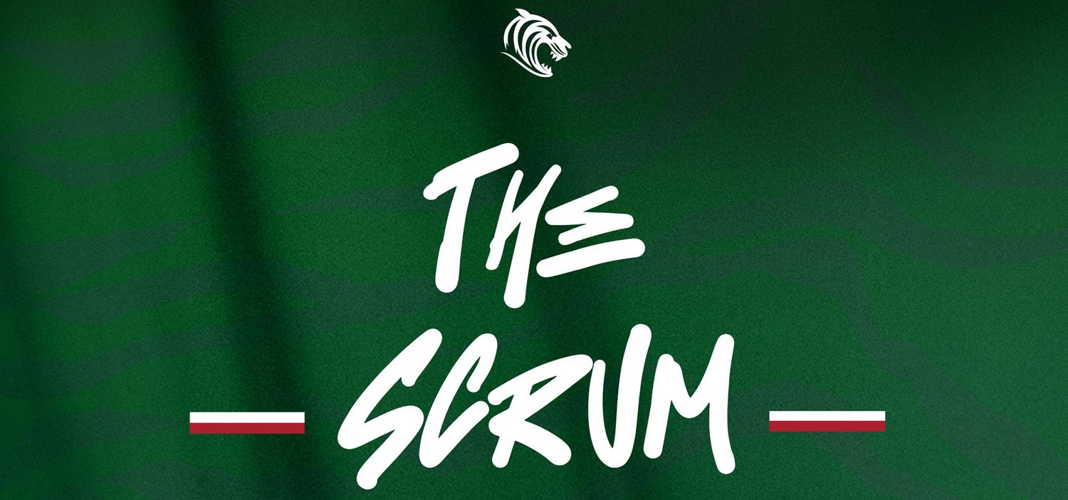 Feedback: The Scrum Hospitality