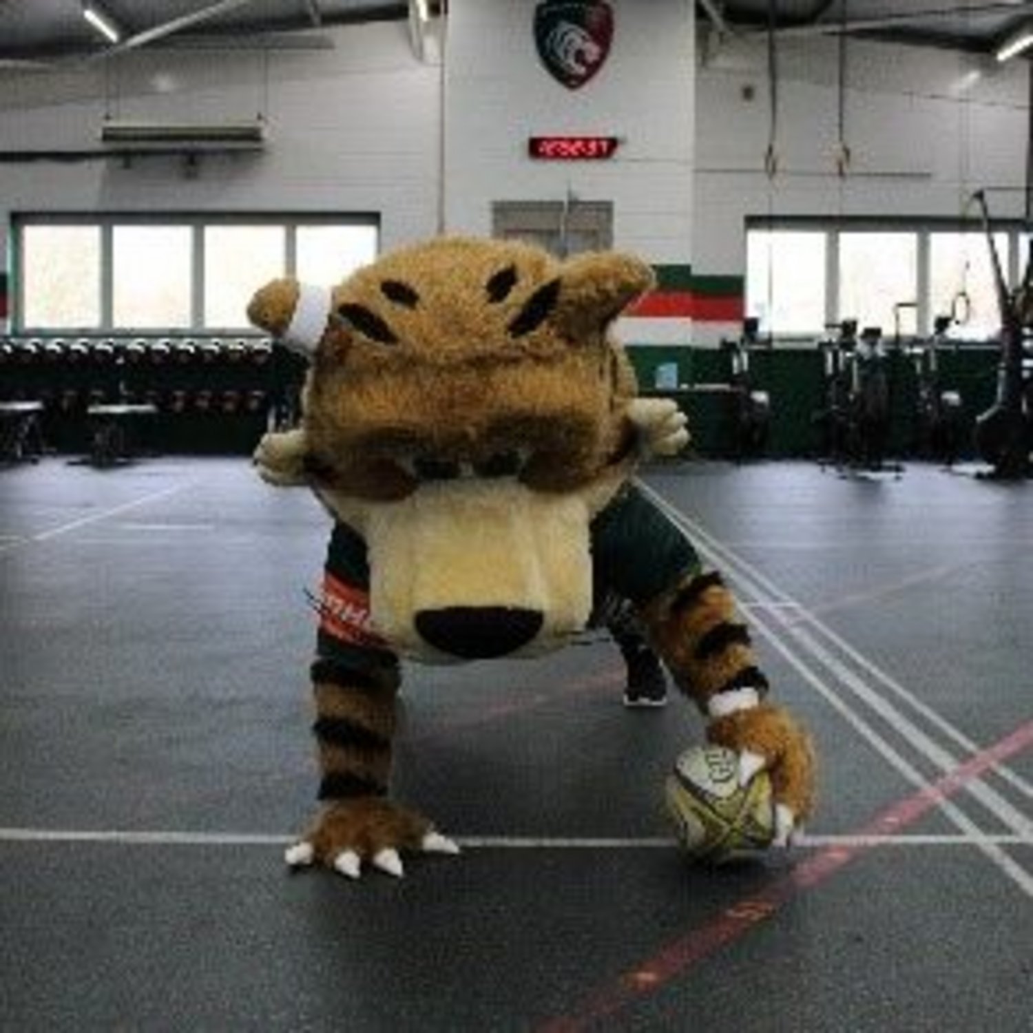 Welford Fit Fans