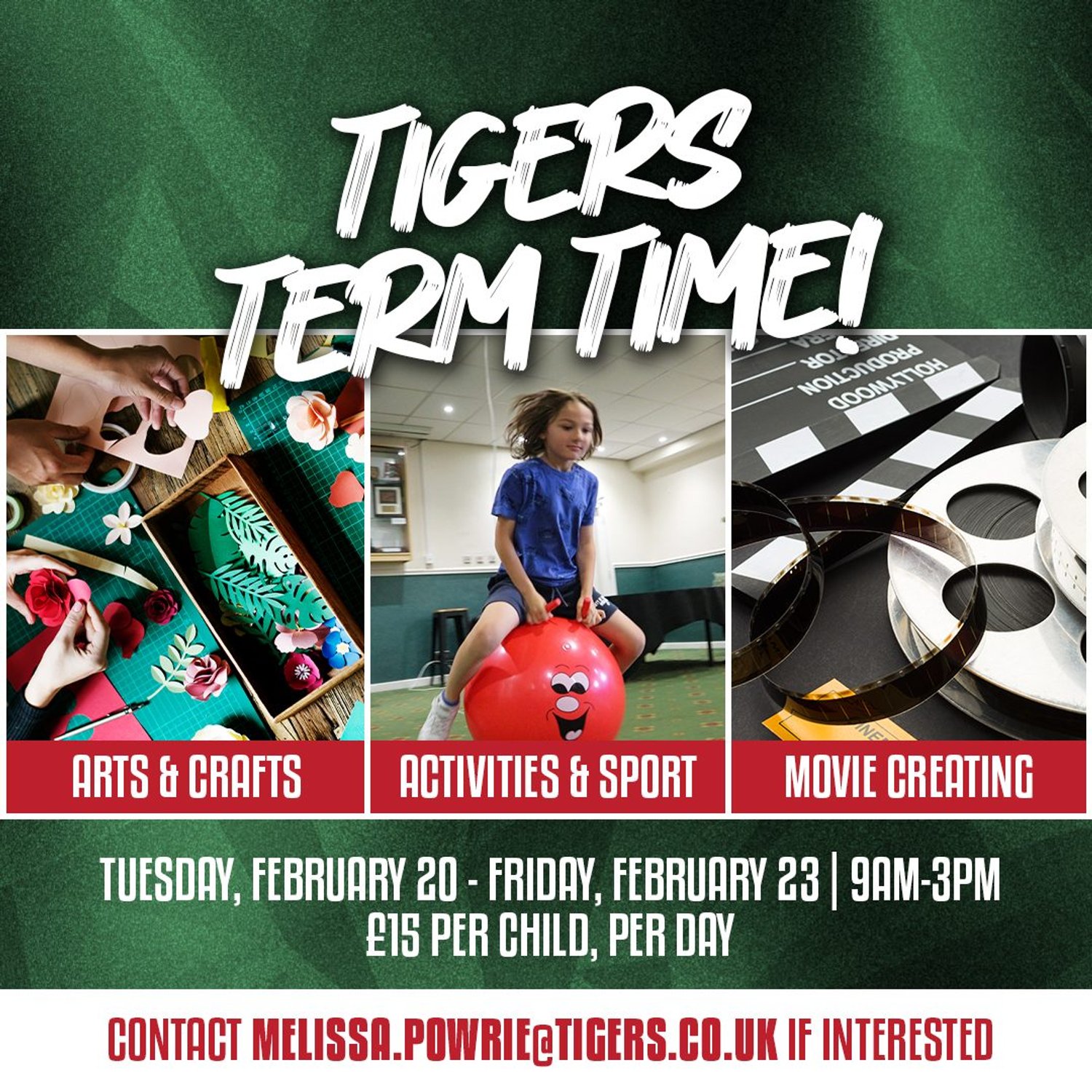Tigers Term Time