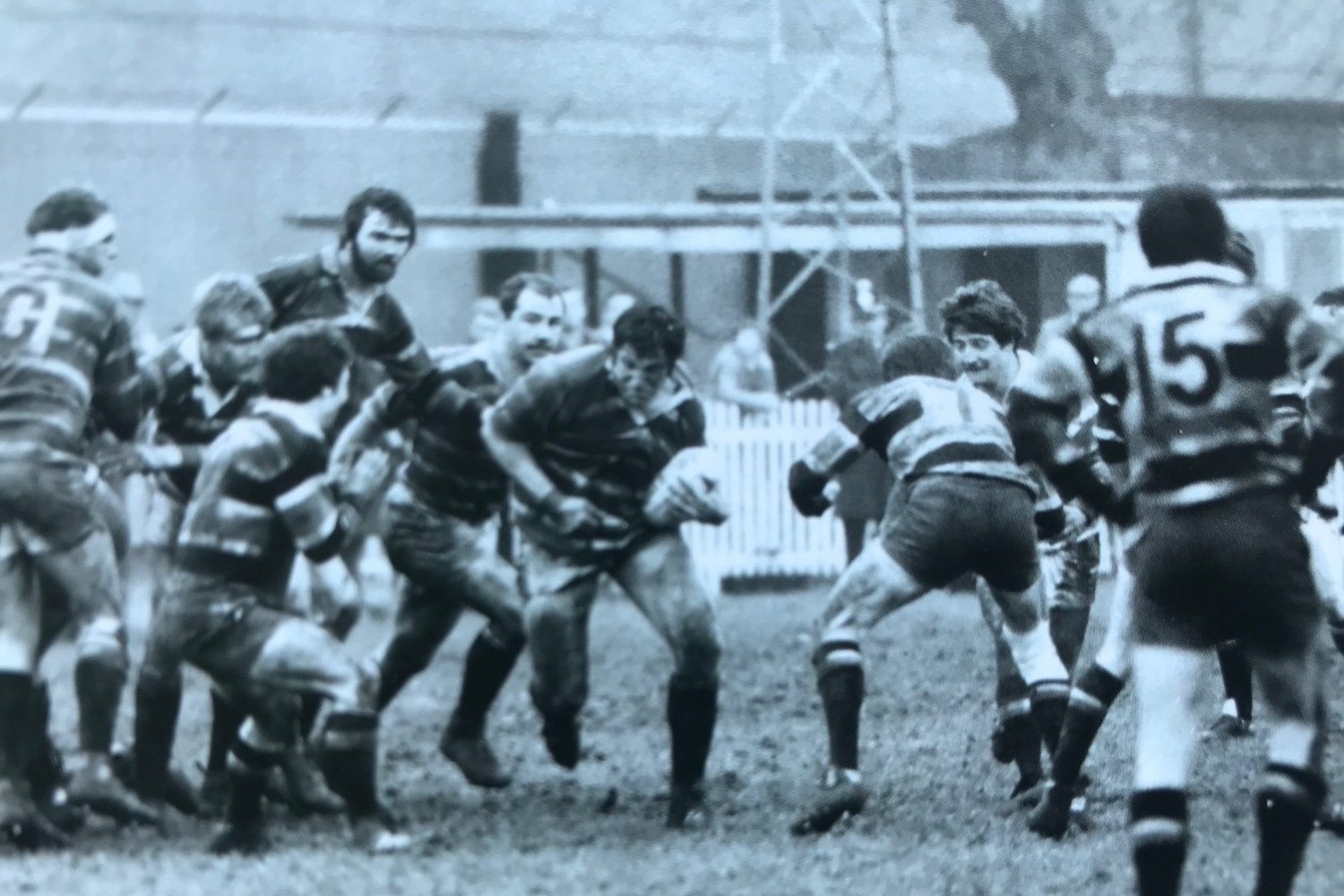 Tigers dispose of Saints at Franklin's Garden in the Cup in 1982