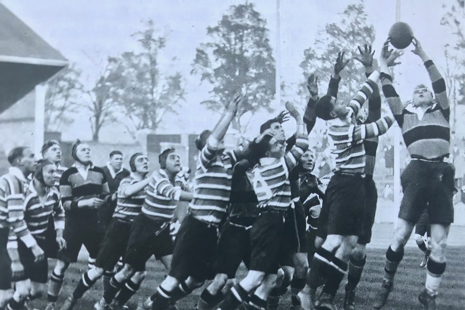 Tigers Saints 1931