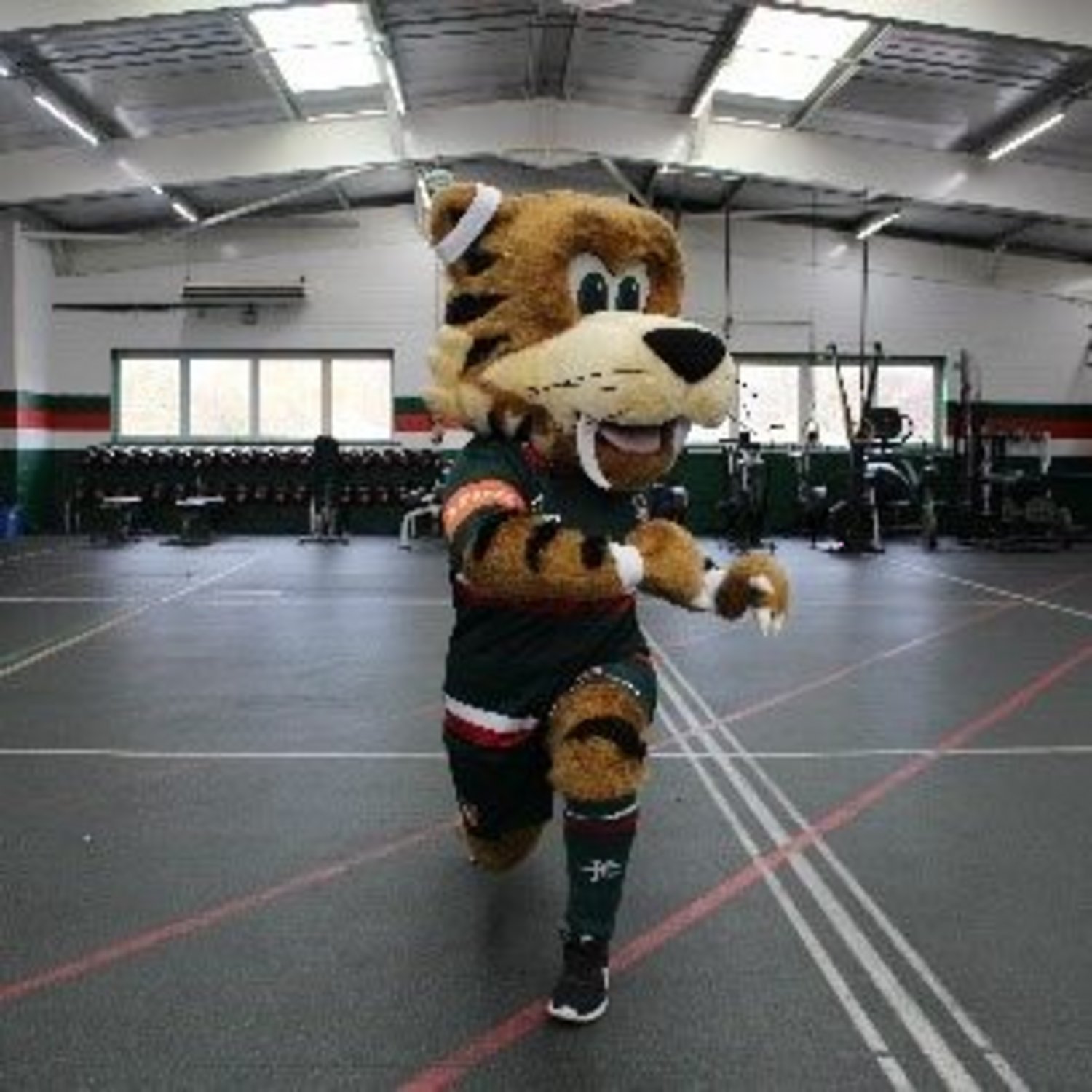 Welford Fit Fans
