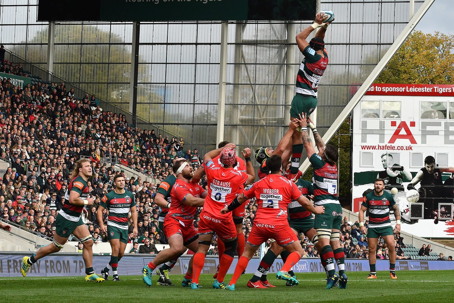 Rugby basics (if you need it!)