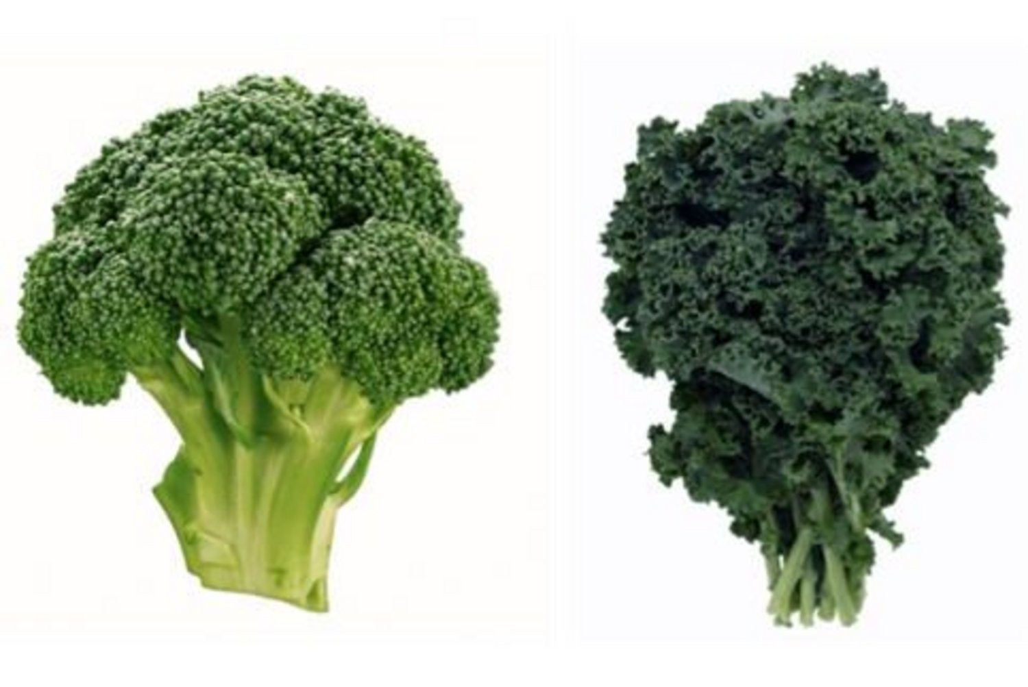 Broccoli and Kale