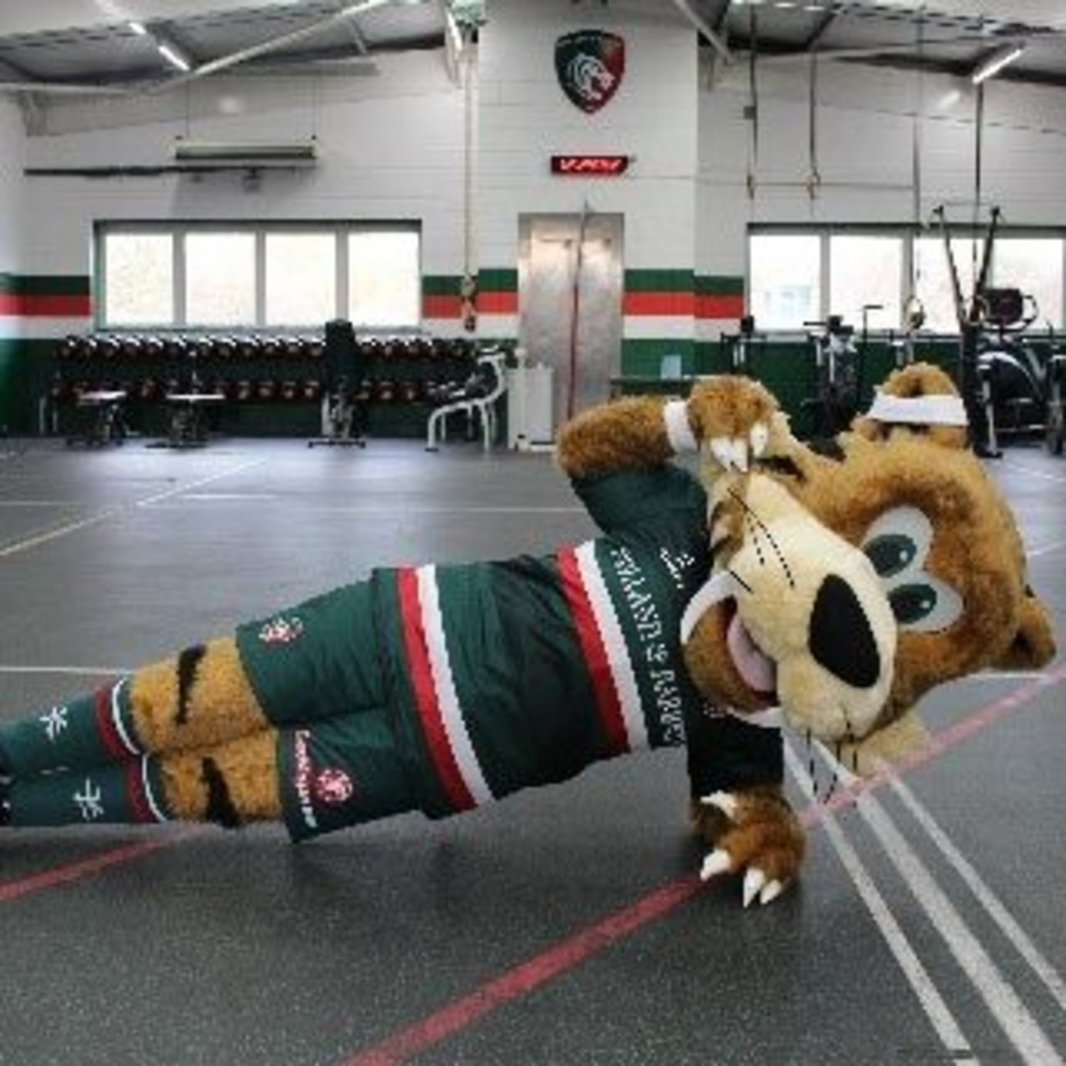 Welford Fit Fans