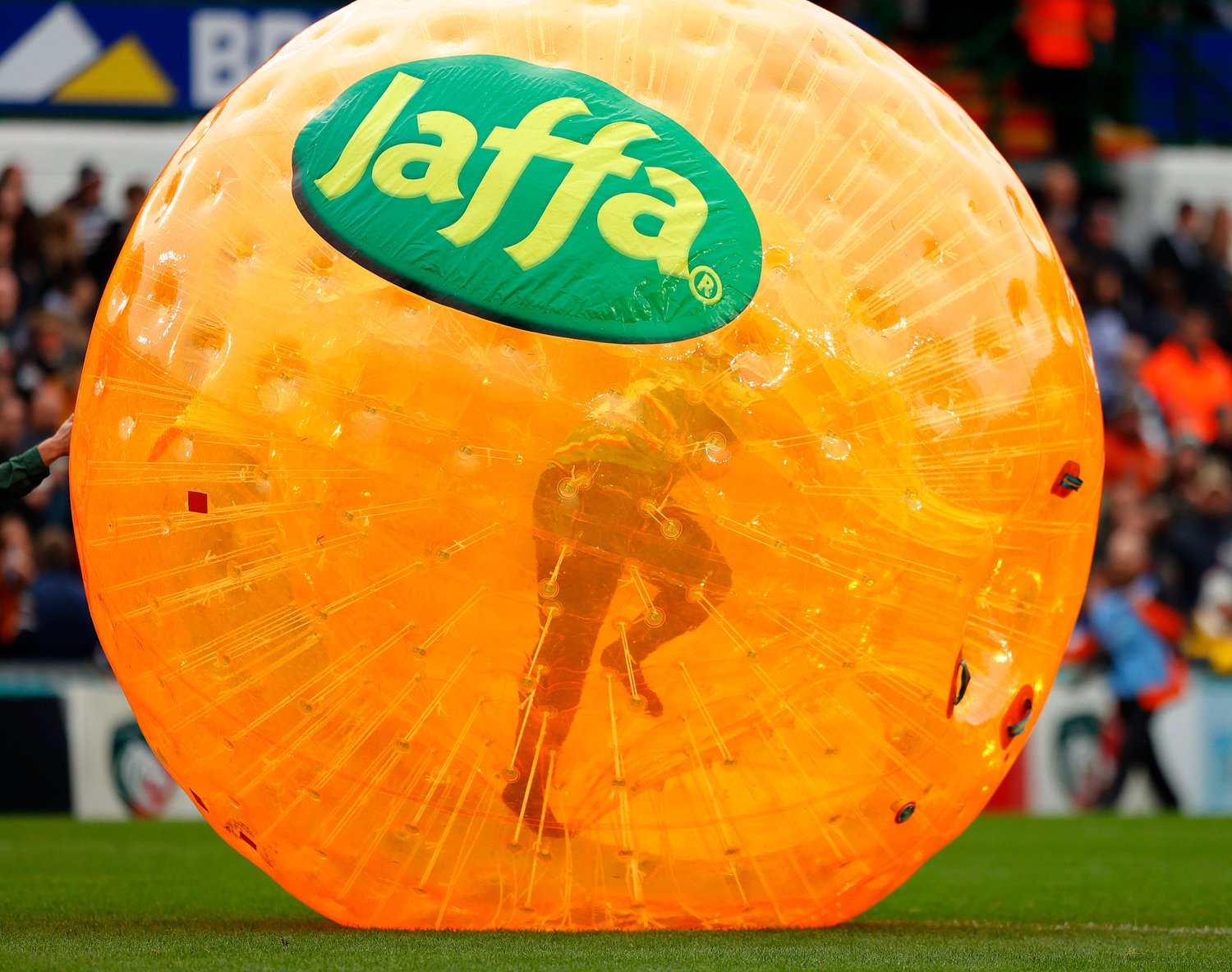 Jaffa Zorb Race