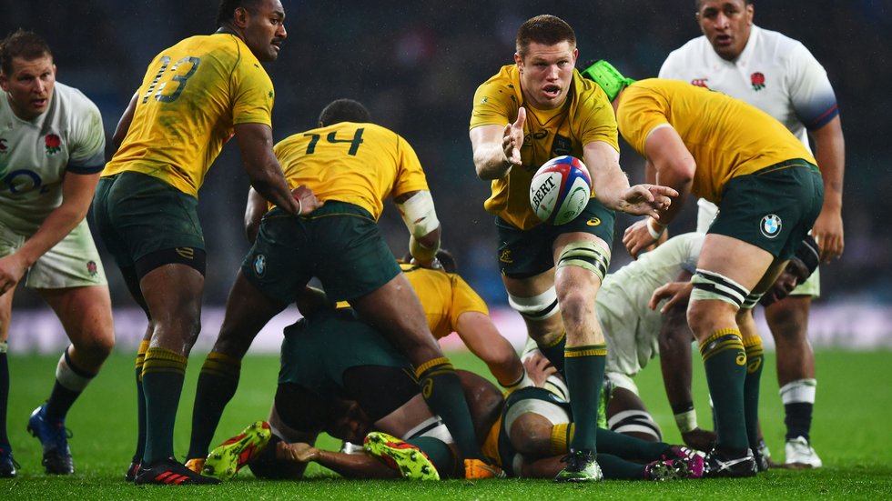 Blake Enever Wallabies 3.jpg